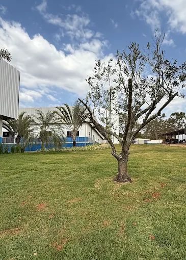 Área externa do frigorífico